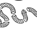 legio_snake_black_stacked_trans-e1670510568964.png
