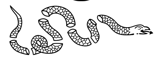 Legio Individual (1 Year)