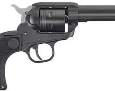 ruger-full-461x227-1.webp
