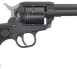 ruger-full-461x227-1.webp