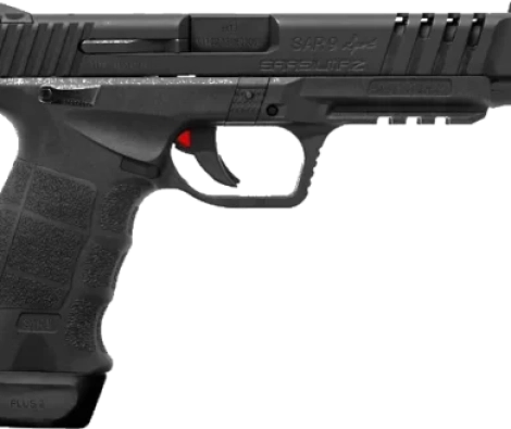 sar-big-461x328-1.webp