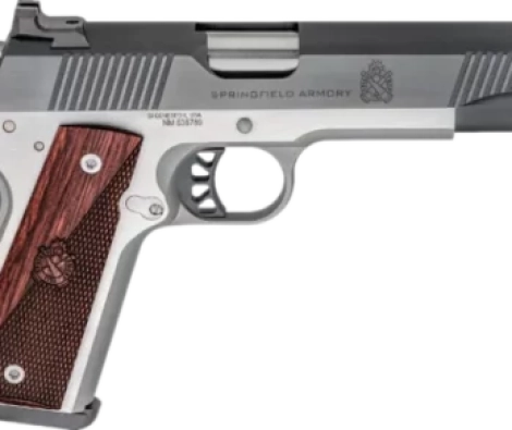 springfield-big-600x380-1-461x292-1.webp